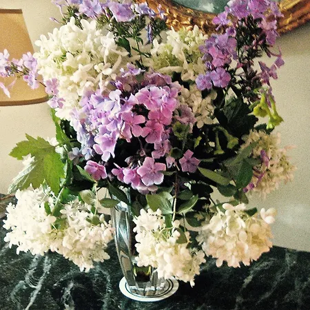 Millbrook Country House-2